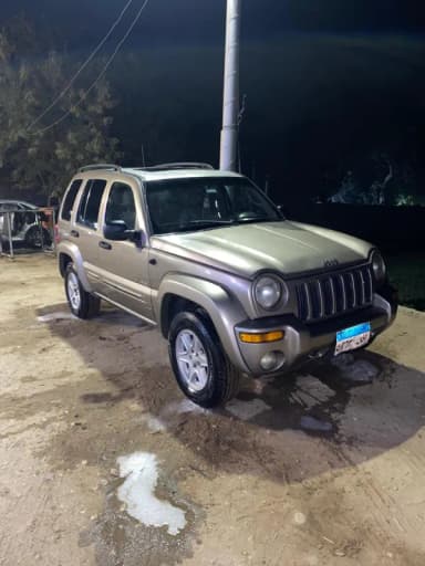 جيب ليبرتي 2010 - 4