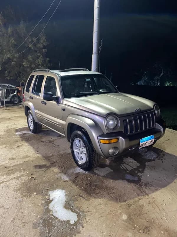 جيب ليبرتي 2010