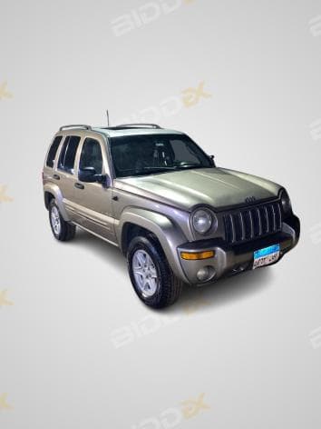 جيب ليبرتي 2010 - 1