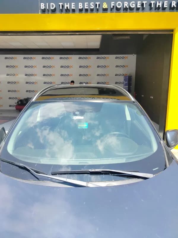 رينو كادجار 2019