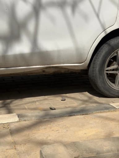  سوزوكي  التو 2019 - 4