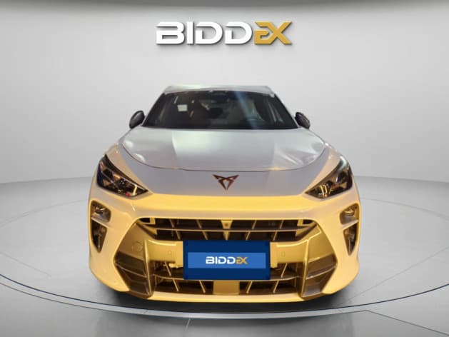 كوبرا تيرامار 2025