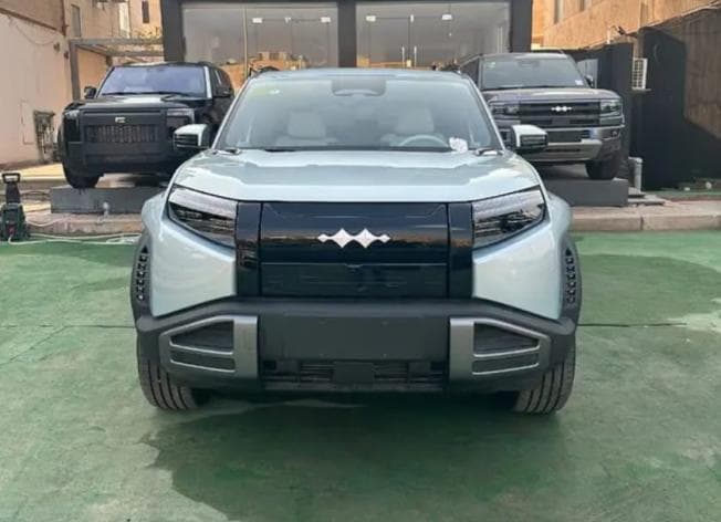 بي واي دي ليوبارد 2025