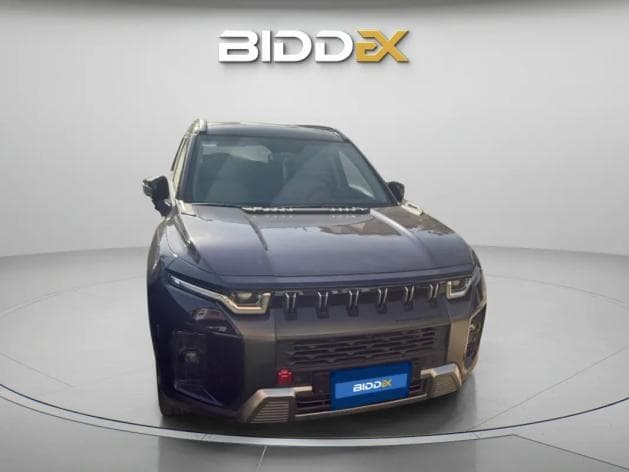  سانج يونج  توريس 2024