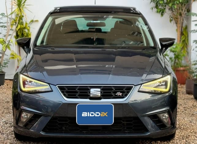 Seat Ibiza 2019