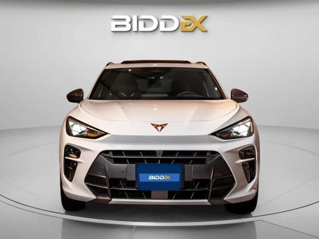 كوبرا تيرامار 2025