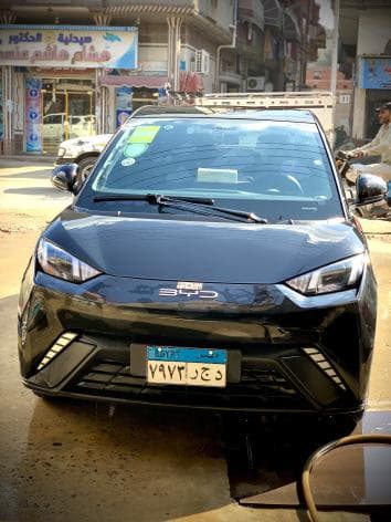 بي واي دي سي جال 2023