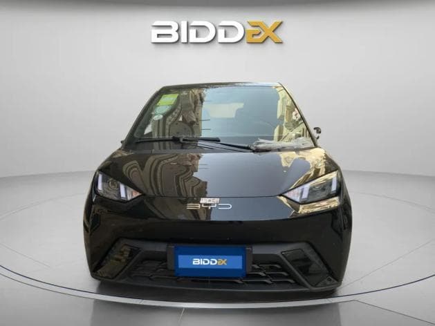 بي واي دي سي جال 2023 - 1