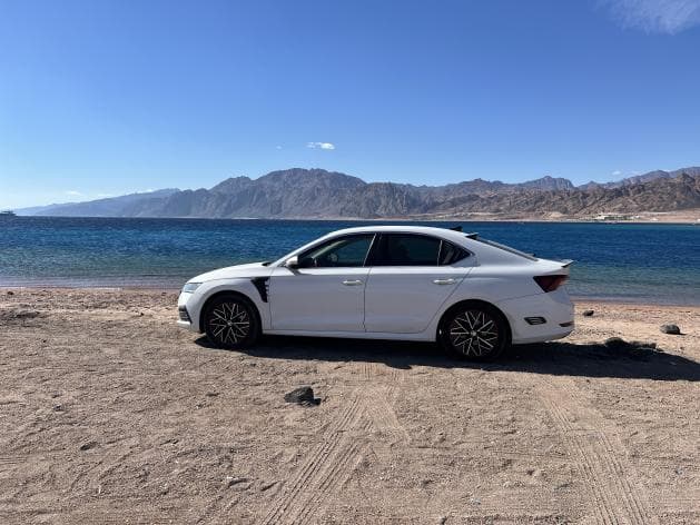  سكودا  اوكتافيا A8 2021