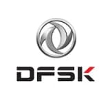 دي اف اس كي brand logo
