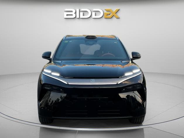 بي واي دي تانج ال 2025