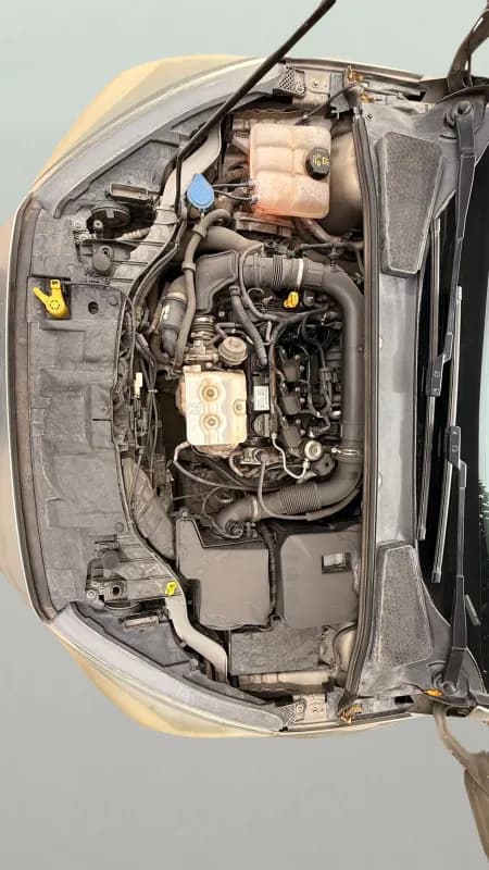 فورد فوكس 2017