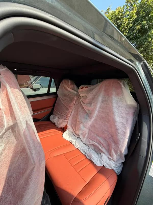 بي واي دي تانج ال 2025