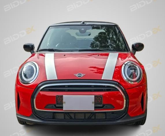 ميني كابريو 2022