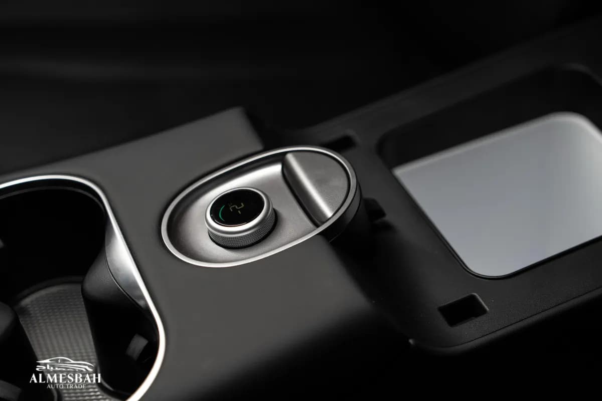 بي واي دي سيليون 06 2025