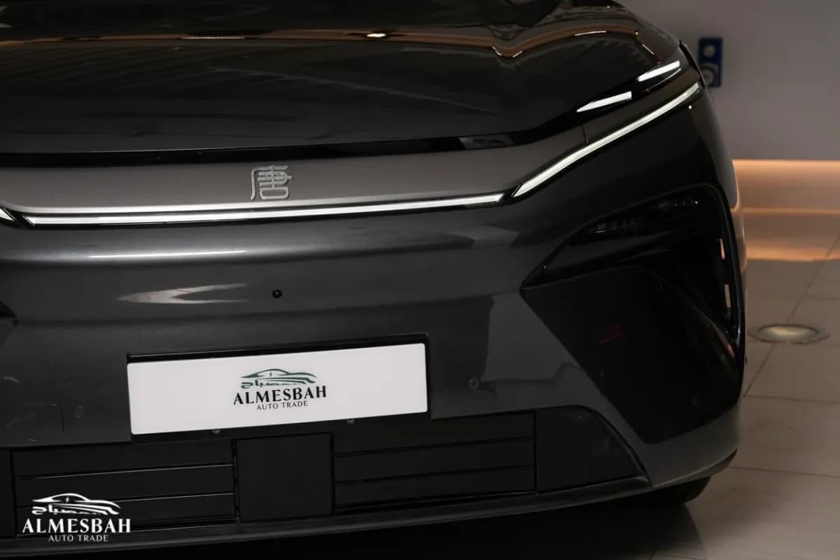 بي واي دي تانج ال 2025