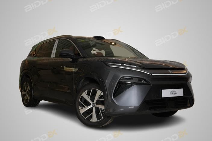 بي واي دي تانج ال 2025