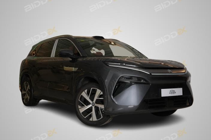 بي واي دي تانج ال 2025