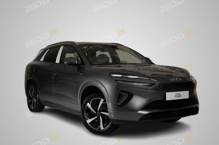 بي واي دي سيليون 06 2025