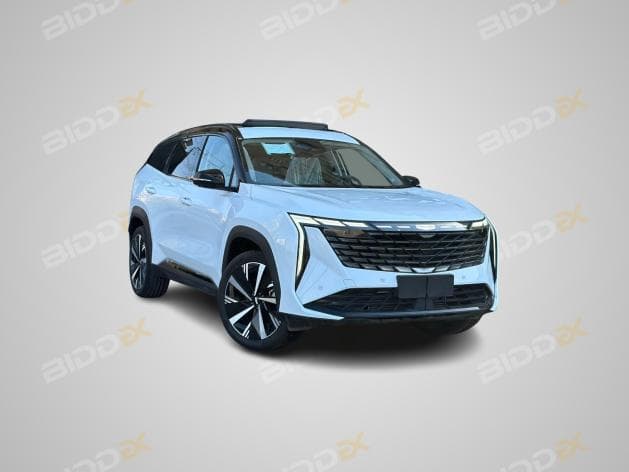 جيلي ستار راي 2025