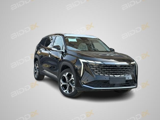 جيلي ستار راي 2025