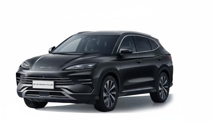 بي واي دي سونج بلس 2025