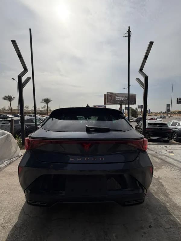 كوبرا ليون 2026