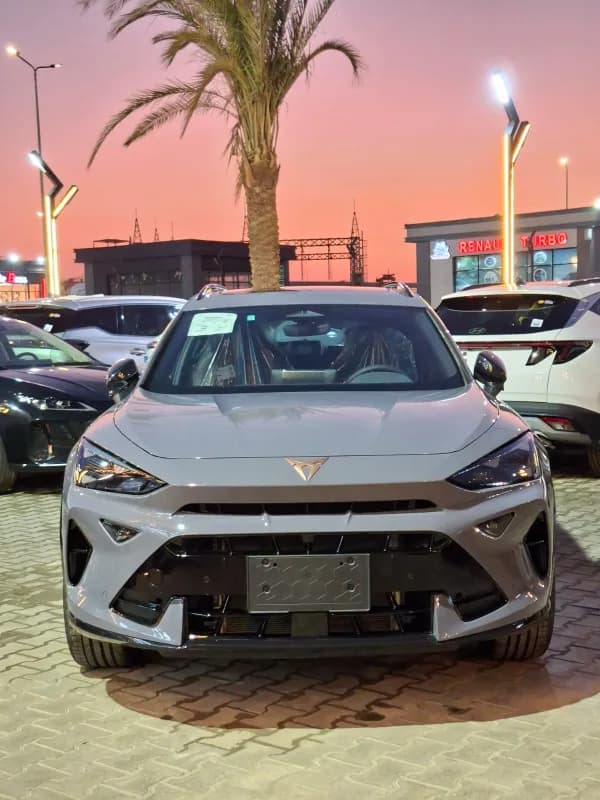 كوبرا فورمينتور 2026 في 2 رمادي أوتوماتيك — جديدة