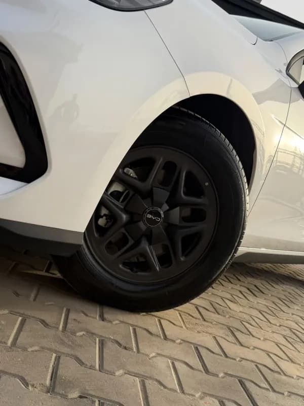 بي واي دي سيليون 05 2025 5 أبيض أوتوماتيك — جديدة
