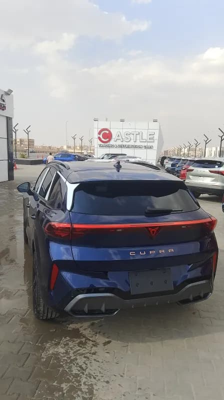 كوبرا تيرامار 2026 كنترول (دي سي سي) أزرق دي اس جي — جديدة