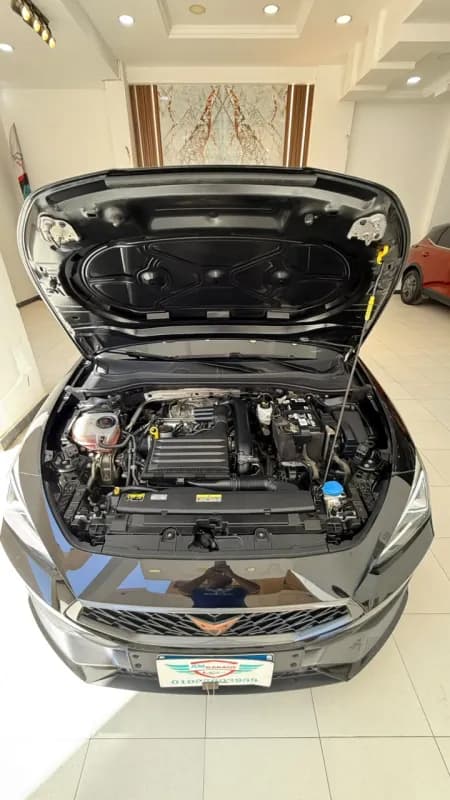 كوبرا ليون 2024 في 1 أسود أوتوماتيك — مستعملة