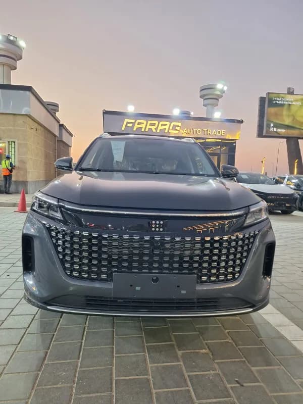 دي اف اس كي اي 5 2027 إي في أر رمادي أوتوماتيك — جديدة