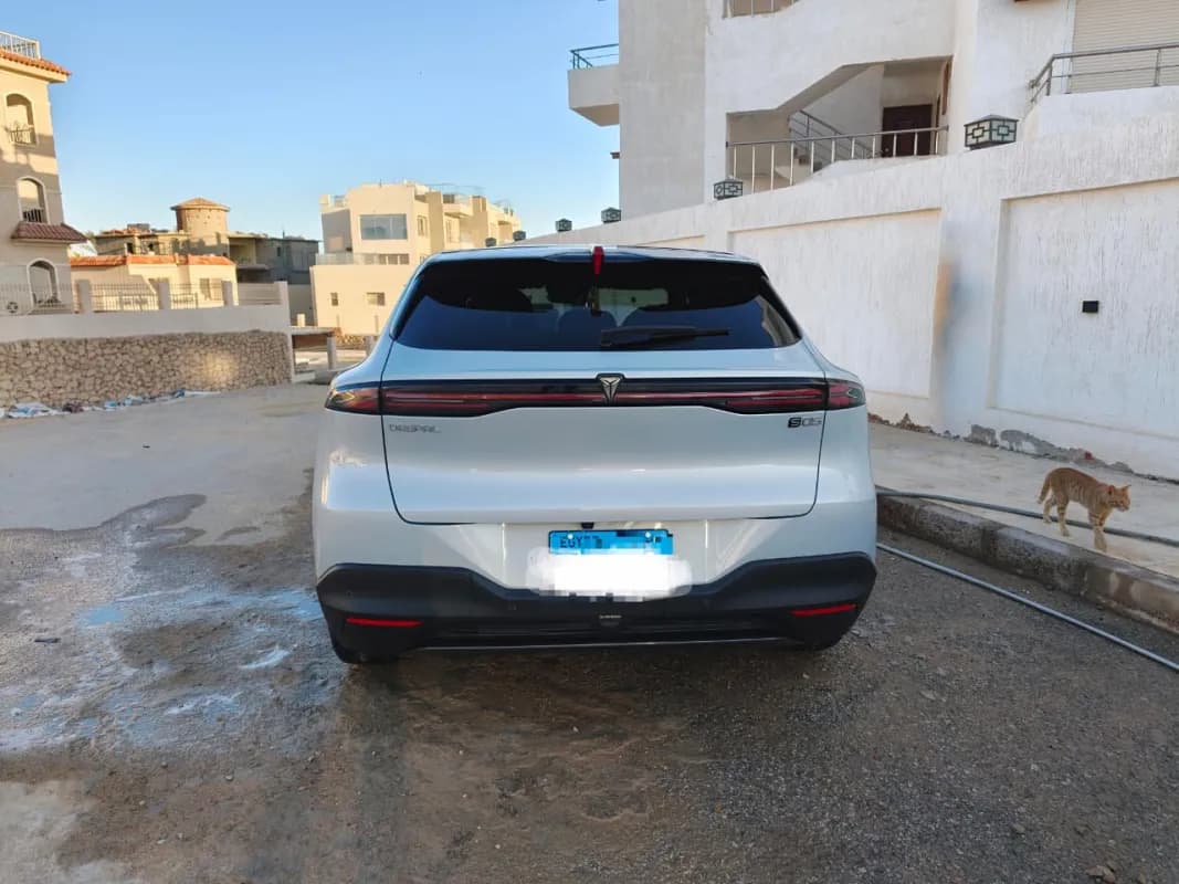ديبال اس 05 2026 رييف فضي أوتوماتيك — مستعملة