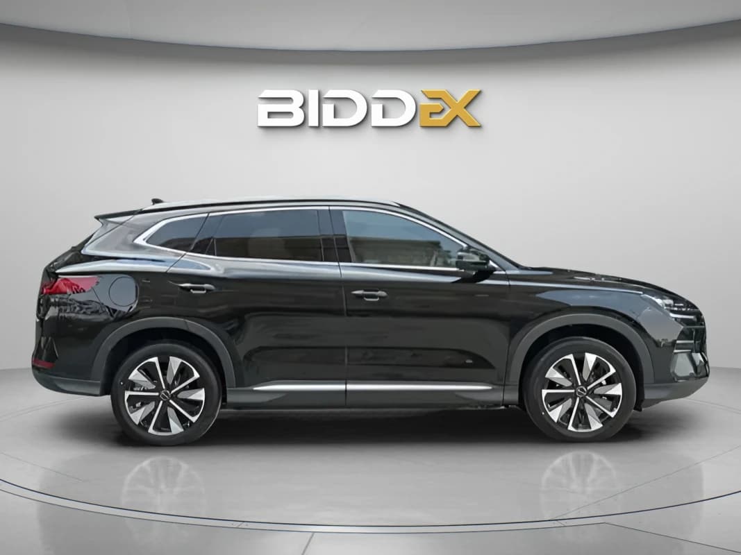 بي واي دي سونج بلس 2025