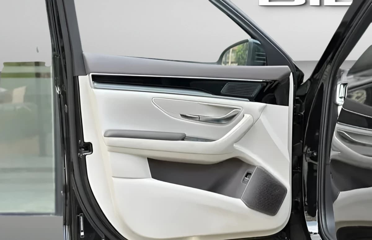 بي واي دي سونج بلس 2025