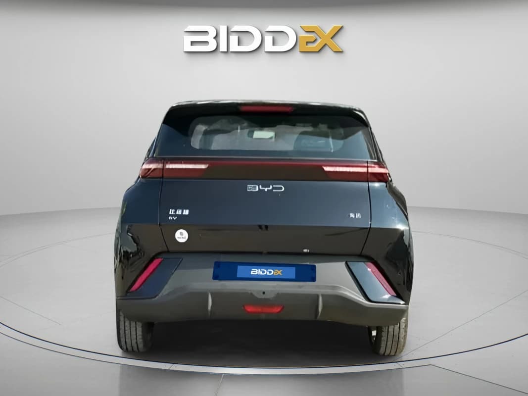 بي واي دي سي جال 2025