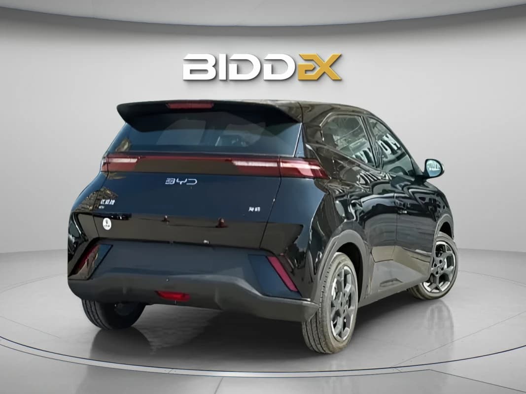 بي واي دي سي جال 2025