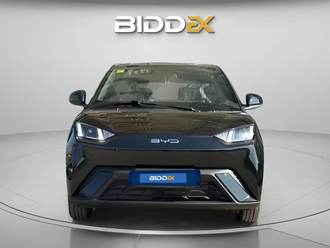 بي واي دي سي جال 2025