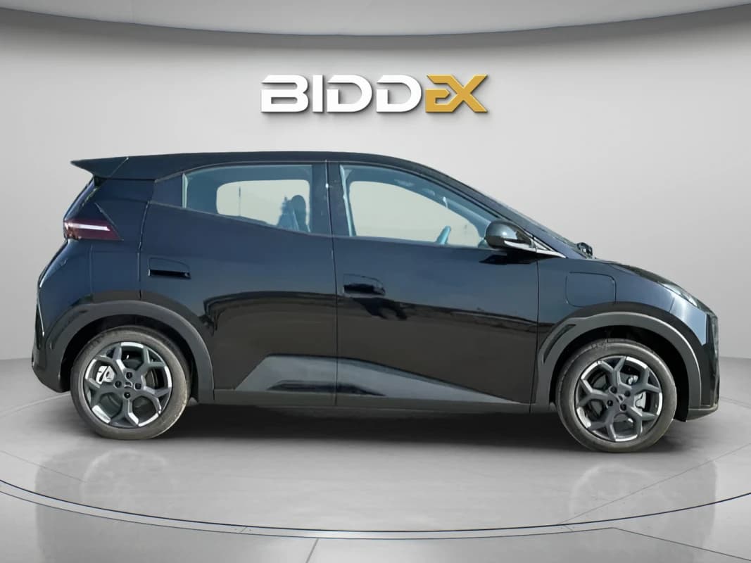 بي واي دي سي جال 2025