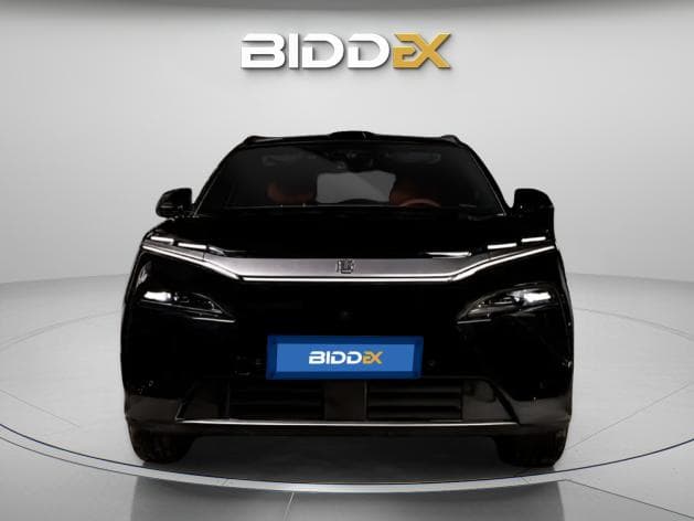 بي واي دي تانج ال 2025