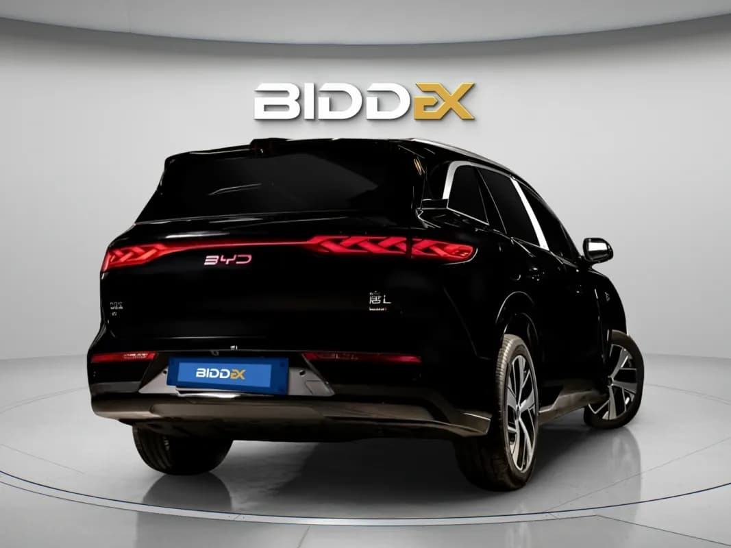 بي واي دي تانج ال 2025