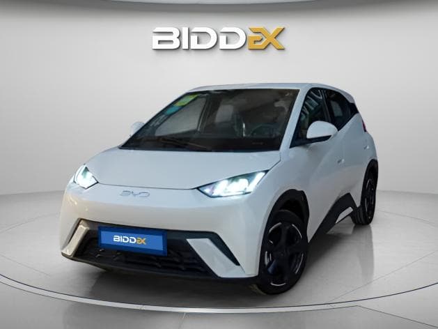 بي واي دي سي جال 2025