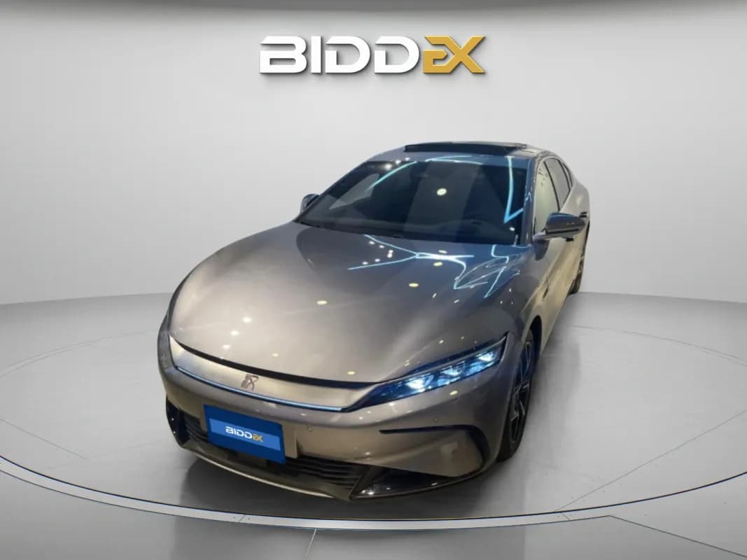 بي واي دي هان 2024