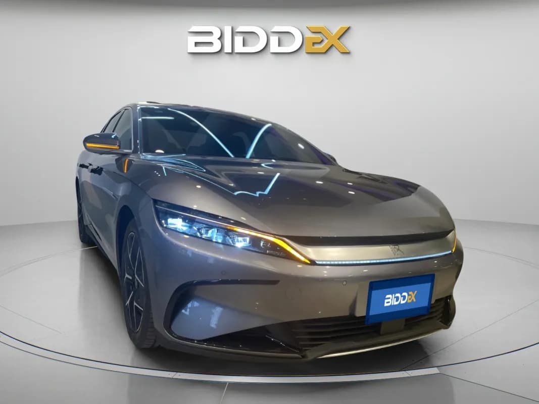 بي واي دي هان 2024