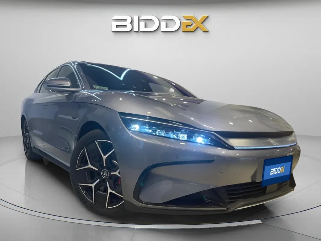 بي واي دي هان 2024