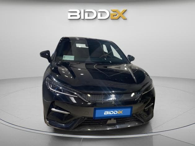 بي واي دي سونج ال 2024