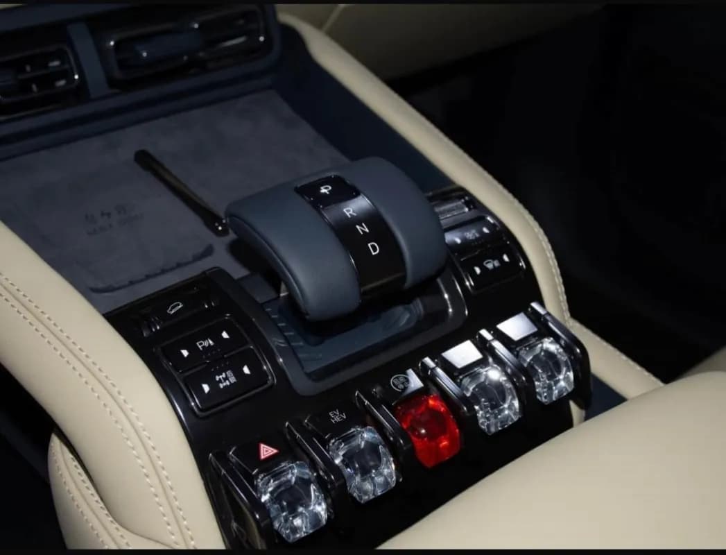 بي واي دي ليوبارد 2025