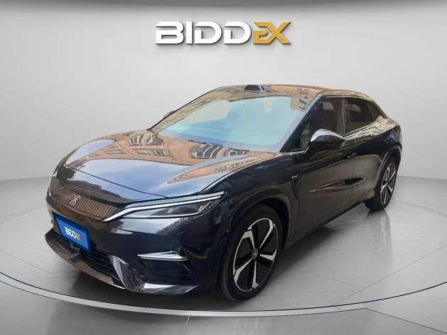 بي واي دي سونج ال 2025