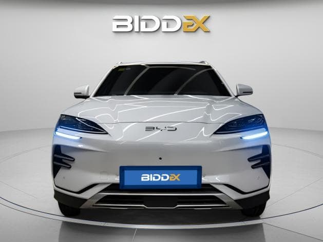 بي واي دي سونج بلس 2025