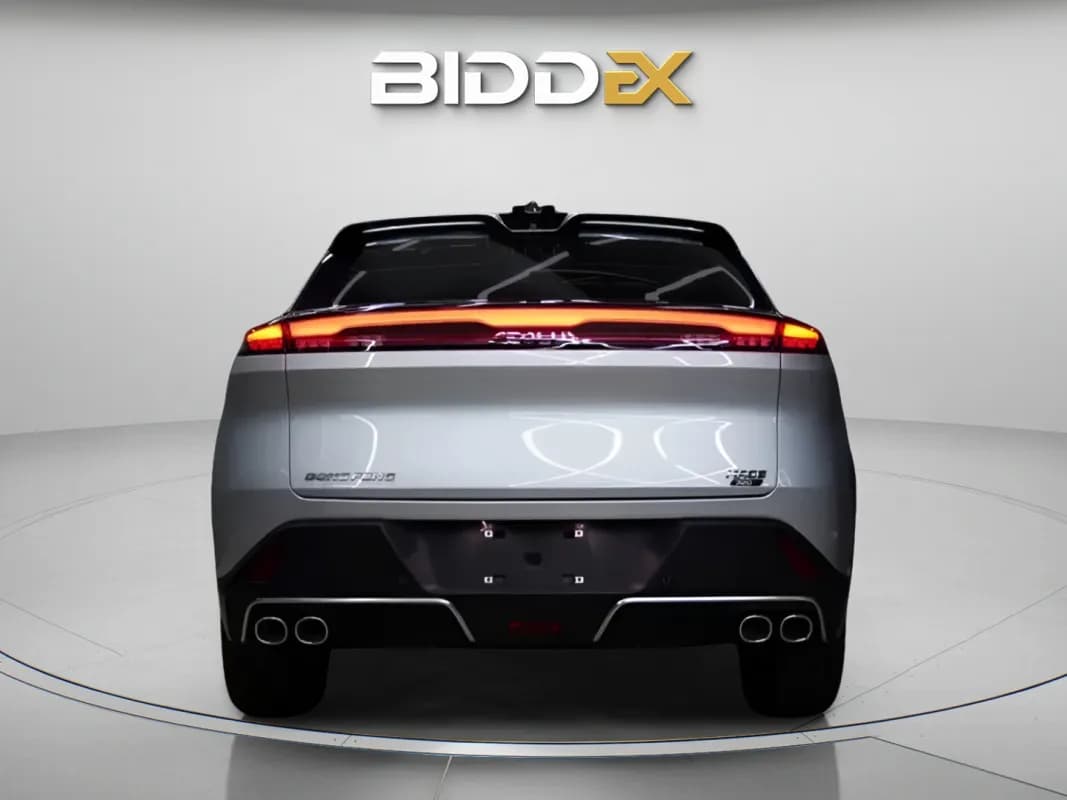 دونج فينج ماجي 2026